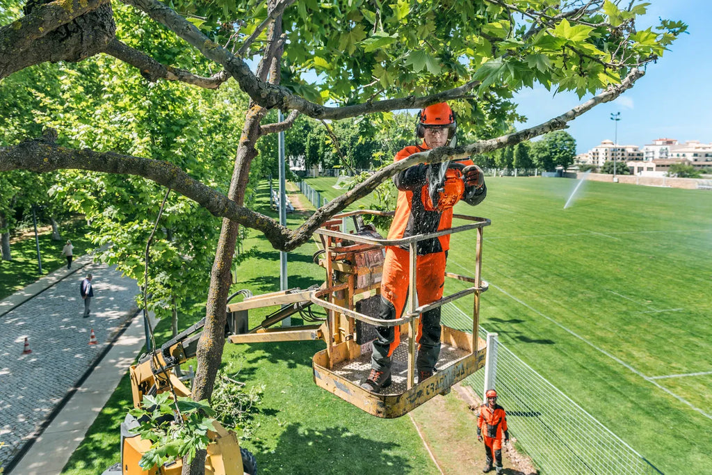 Chainsaw Husqvarna T435