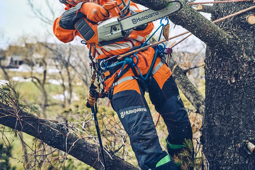 Award Winner - T542i XP® Chainsaw, Battery Powered, 36 V (FREE QC500 CHARGER)