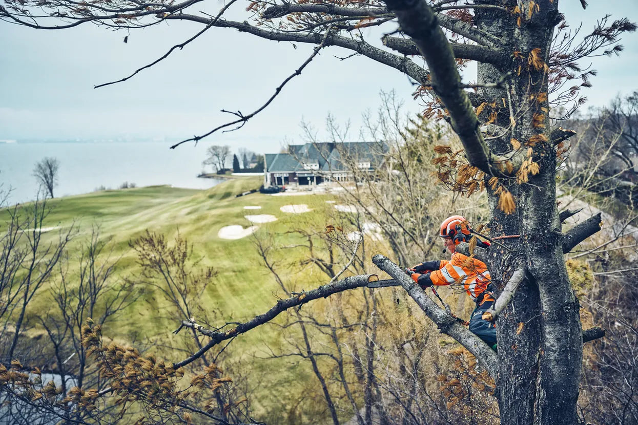 Award Winner - T542i XP® Chainsaw Kit, Battery Powered, 36 V (FREE BATTERY BLI300 & QC500 CHARGER)