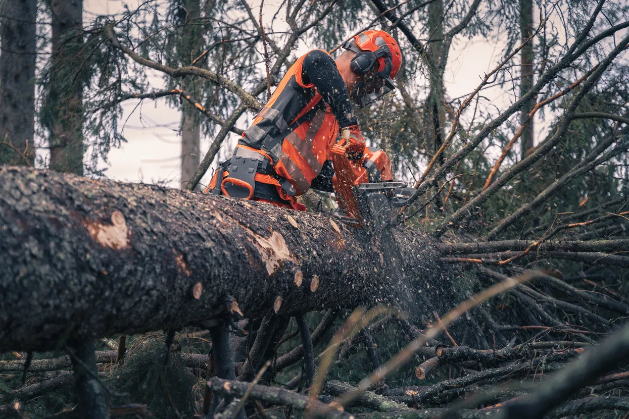 Chainsaw Husqvarna 592 XP/32''